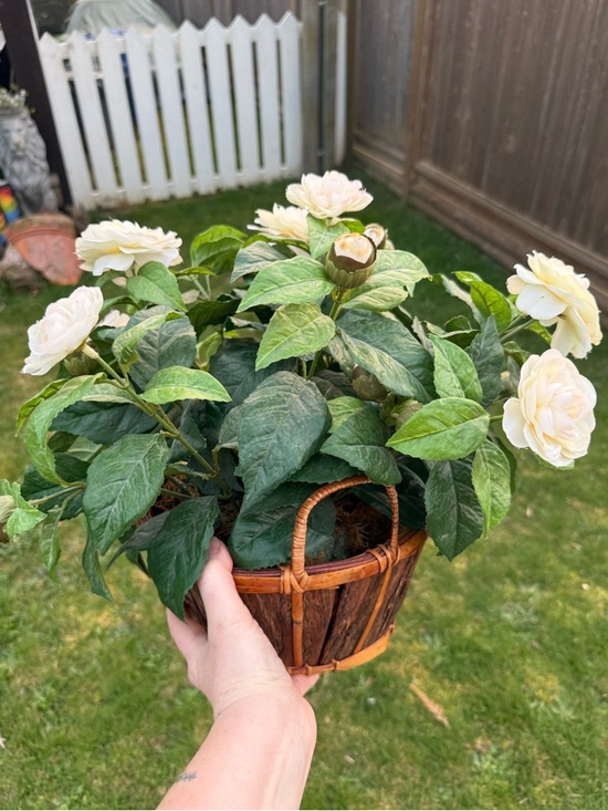 Vintage Other - Cream Artificial Gardenia Arrangement in Woven Basket - Home Accents